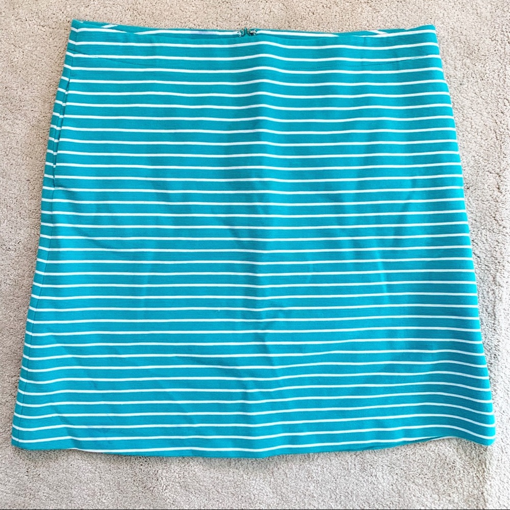 Talbots Stripe Skirt